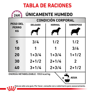 Royal Canin Veterinary Diet Alimento Húmedo Soporte Renal E para Perro Adulto Receta Paté, 385 g
