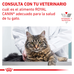 Royal Canin Veterinary Diet Alimento Húmedo Soporte Renal D para Gato Adulto Receta Trozos en Gravy, 85 g