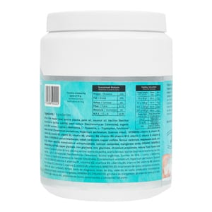 Natural Gourmet Sustituto de Leche para Cachorro