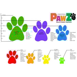 PawZ Botas para Paseo Verdes, X-Grande