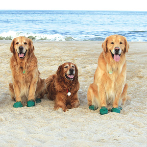 PawZ Botas para Paseo Verdes, X-Grande