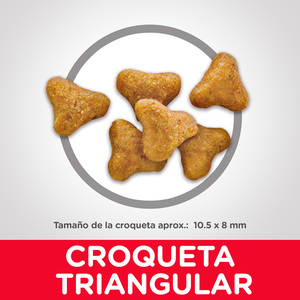 Hill's Science Diet Múltiple Benefit Alimento Seco Hogar Multigato para Gato Adulto  Receta Pollo, 7 kg