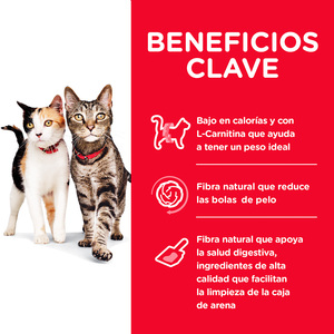 Hill's Science Diet Múltiple Benefit Alimento Seco Hogar Multigato para Gato Adulto  Receta Pollo, 7 kg