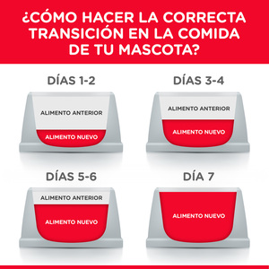 Hill's Science Diet Múltiple Benefit Alimento Seco Hogar Multigato para Gato Adulto  Receta Pollo, 7 kg