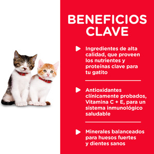 Hill's Science Diet Healthy Cuisine Alimento Húmedo Estofado para Gatito Receta Pollo, 79 g