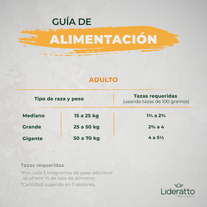 Lideratto Alimento Natural Holístico para Perro Adulto Raza Mediana/Grande Receta Pollo y Salmón, 2 kg