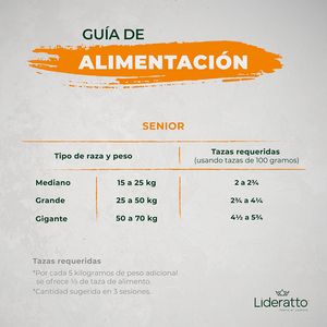 Lideratto Alimento Natural Holístico para Perro Senior Raza Mediana/Grande Receta Pollo y Salmón, 2 kg