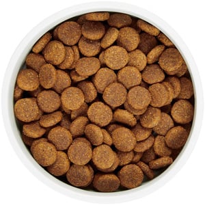 WholeHearted Libre de Granos Alimento Natural para Perro Todas las Edades Receta Salmón y Chícharo, 11 kg