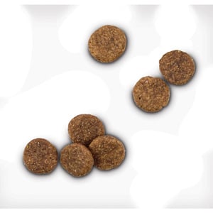 WholeHearted Libre de Granos Alimento Natural para Perro Todas las Edades Receta Salmón y Chícharo, 11 kg