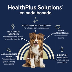 Canidae Pure Alimento Natural sin Granos para Perro Adulto Receta Salmón y Camote, 9.9 kg