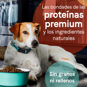 Canidae Pure Alimento Natural sin Granos para Perro Adulto Receta Salmón y Camote, 1.8 kg
