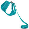 Good2Go Set Arnés de Malla y Correa para Gato Color Aqua Good2Go Set Arnés de Malla y Correa para Gato Color Aqua