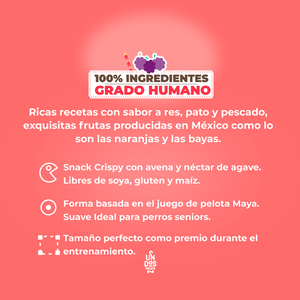 Un Dos Treats Premio Sabor Res y Moras para Perro, 155 g