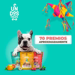 Un Dos Treats Premio Sabor Res y Moras para Perro, 155 g