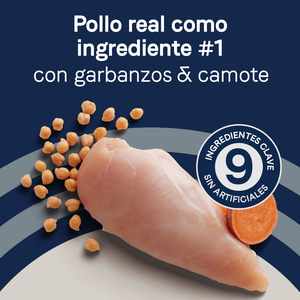Canidae Pure Alimento Natural sin Granos para Perro Senior Receta Pollo Camote y Garbanzos, 10.8 kg