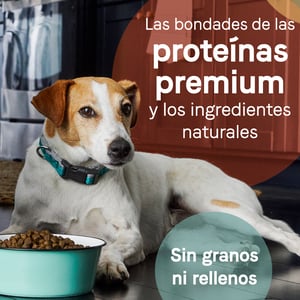 Canidae Pure Alimento Natural sin Granos para Perro Senior Receta Pollo Camote y Garbanzos, 10.8 kg