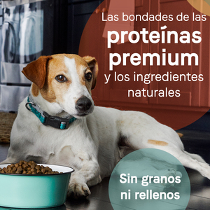Canidae Pure Alimento Natural sin Granos para Perro Adulto Receta Jabalí y Garbanzo, 10.8 kg
