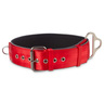 Good2Go Collar Rojo para Perro Razas Grandes, X-Grande / XX-Grande Good2Go Collar Rojo para Perro Razas Grandes, X-Grande / XX-Grande