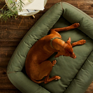 Reddy Cama Rectangular Resistente con Bordes Elevados Color Verde Camuflaje para Perro, Grande