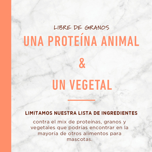 Instinct LID Alimento Natural Seco para Perro Adulto Receta Salmón, 9 kg