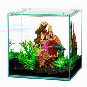 Aqueon Acuario Aqua Frameles S3 para Peces, 11.35 L Aqueon Acuario Aqua Frameles S3 para Peces, 11.35 L