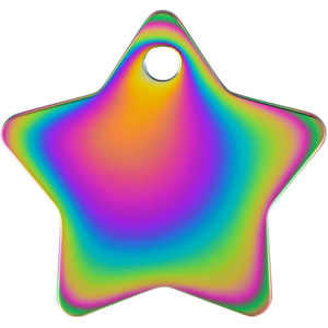 Hillman Group Placa de Identificación Diseño Estrella Arcoíris para Perro, Grande