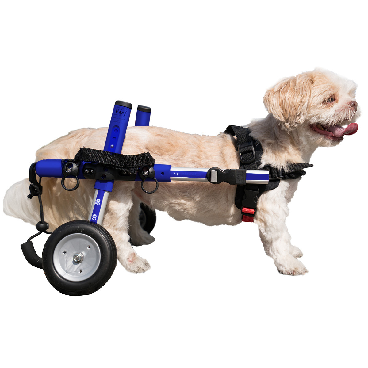 Silla de ruedas para perros para patas traseras, carritos para perros  pequeños con ruedas, silla de ruedas ajustable para perros con  discapacidades