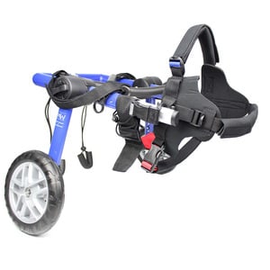 Walkin' Pets Silla de Ruedas con Soporte para Miembros Posteriores para Perro y Gato, Mediano