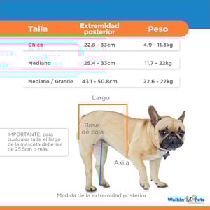 Walkin' Pets Silla de Ruedas con Soporte para Miembros Posteriores para Perro y Gato, Mediano