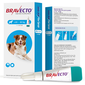 Bravecto Spot-On Pipeta Antiparasitaria para Perro Grande, 20 a 40 kg