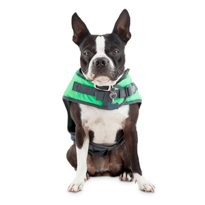 Youly Chaleco Salvavidas de Neopreno Reflejante para Perro, Grande