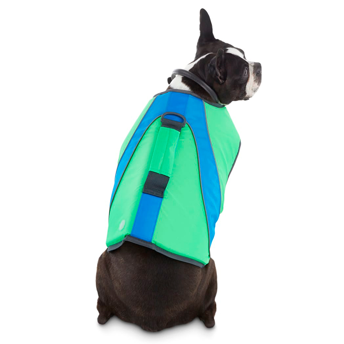 Youly Chaleco Salvavidas de Neopreno Reflejante para Perro, Grande