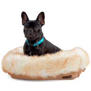 Reddy Cama Suave de Piel Sintética Color Arena para Perro, Chico