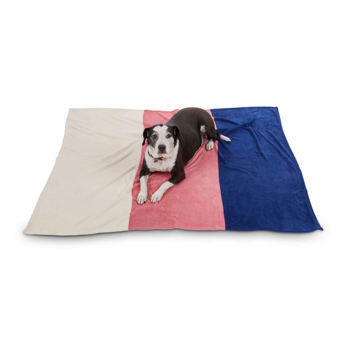 EveryYay Let’s Snuggle Manta Diseño a Rayas para Perro, Multicolor
