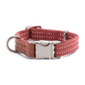 Reddy Collar Diseño Reforzado Color Vino con Broche Metálico para Perro, Mediano Reddy Collar Diseño Reforzado Color Vino con Broche Metálico para Perro, Mediano