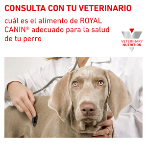 Royal Canin Veterinary Diet Alimento Seco Proteína Hidrolizada para Perro Adulto Raza Pequeña, 3.5 kg