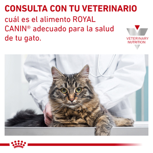 Royal Canin Veterinary Diet Alimento Seco Soporte de Saciedad para Gato Adulto, 3.5 kg