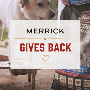 Merrick Lil' Plates Alimento Húmedo Natural para Perro Raza Pequeña Todas las Edades Receta Cordero, 99 g