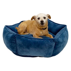 Kenwood & Co Cama Hexagonal Bordes Altos de Terciopelo Color Azul para Perro, Chico