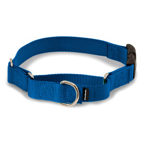 Petsafe Collar  de Adiestramiento Martingale con Broche Rapio Color Azul, Mediano