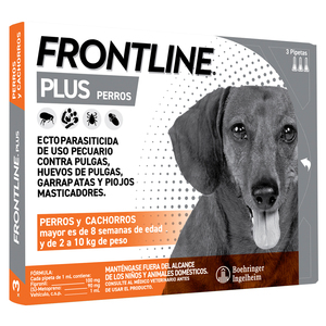 Frontline Plus Paquete de 3 Pipetas Antiparasitarias Externas para Perro, 2-10 kg