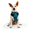 EveryYay Arnés Ajuste Romano Diseño Reflectante Color Turquesa para Perros, Grande/X-Grande EveryYay Arnés Ajuste Romano Diseño Reflectante Color Turquesa para Perros, Grande/X-Grande