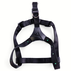 Youly Arnés Liso Color Negro con LED para Perros, Grande/X-Grande