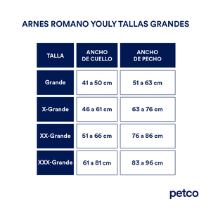 Youly Arnés Liso Color Negro con LED para Perros, Grande/X-Grande