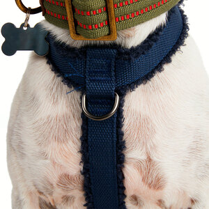 Reddy Arnés Ajuste Romano Diseño Forro Polar Color Azul para Perro, Mediano