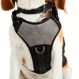 Reddy Arnés de Ajuste Romano Diseño Jacquard Color Negro para Perro, Grande