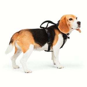 Reddy Arnés de Ajuste Romano Diseño Jacquard Color Negro para Perro, Grande