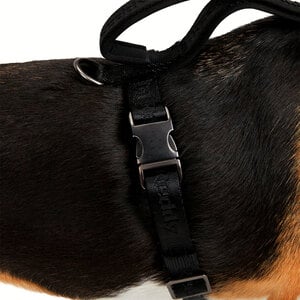 Reddy Arnés de Ajuste Romano Diseño Jacquard Color Negro para Perro, Grande