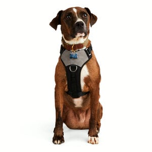 Reddy Arnés de Ajuste Romano Diseño Jacquard Color Negro para Perro, Grande