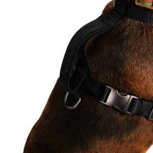 Reddy Arnés de Ajuste Romano Diseño Jacquard Color Negro para Perro, Grande